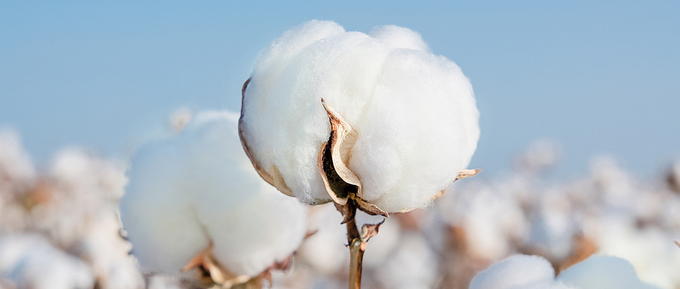 一图读懂稳健集团2024年度ESG报告